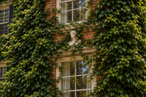 Ivy growing around the exterior of a house and window